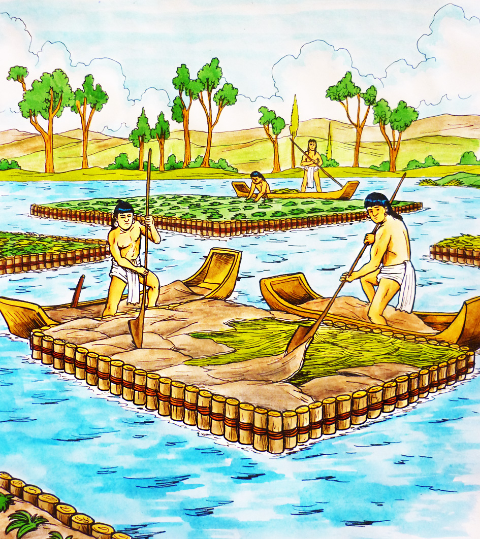 Las chinampas y la economía de los Aztecas