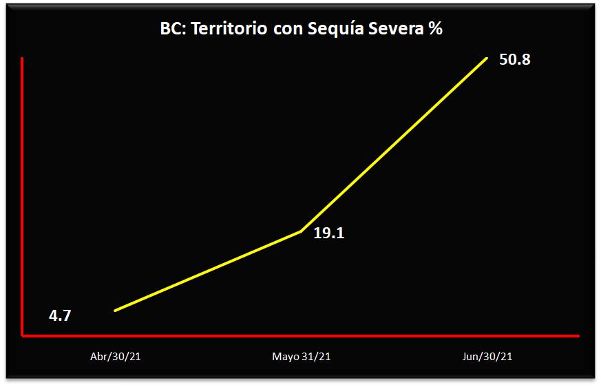 foto-resumen