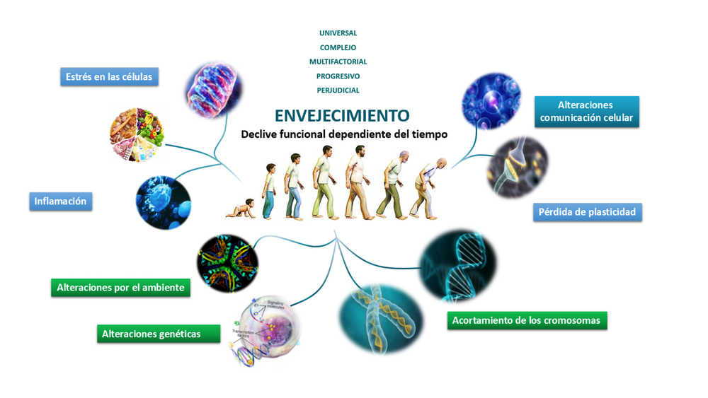 foto-resumen