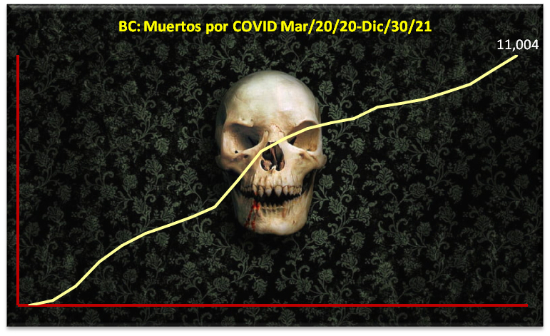foto-resumen