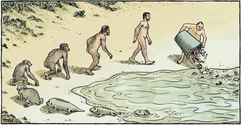 foto-resumen
