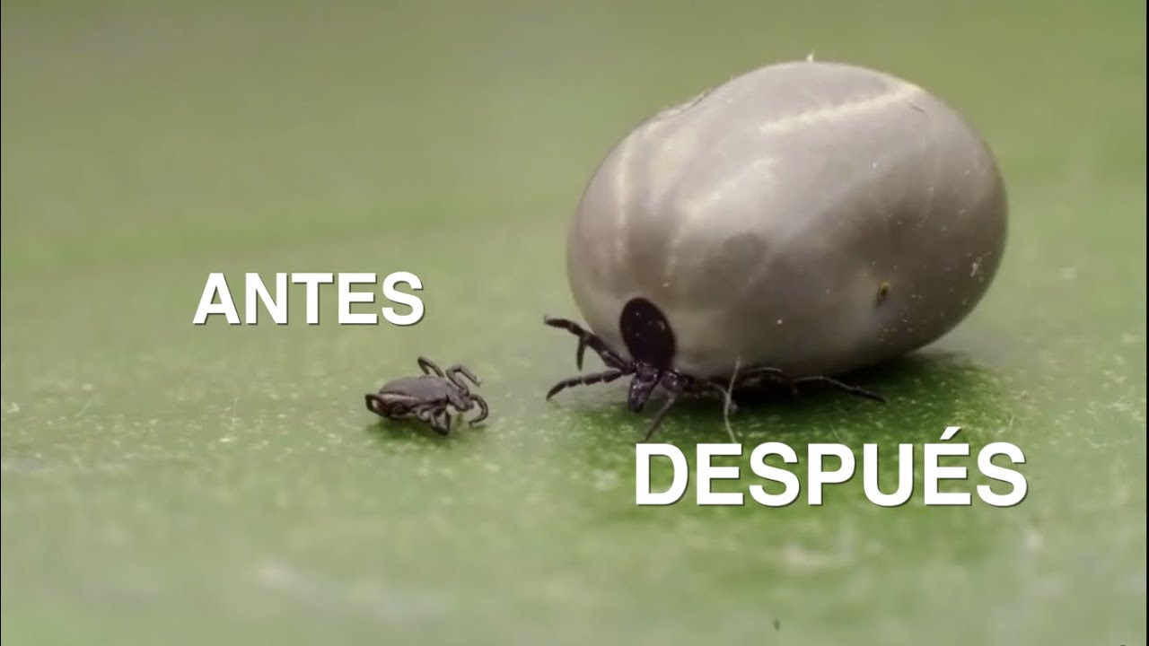 foto-resumen