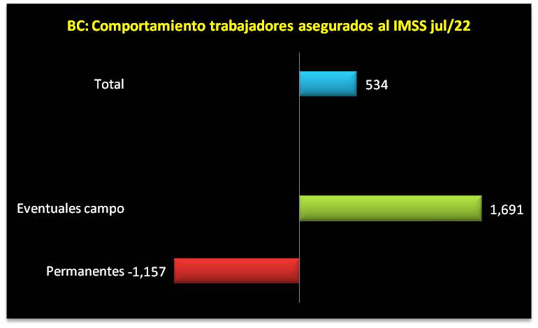 foto-resumen