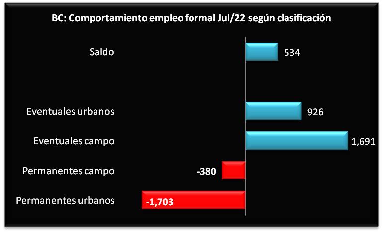 foto-resumen