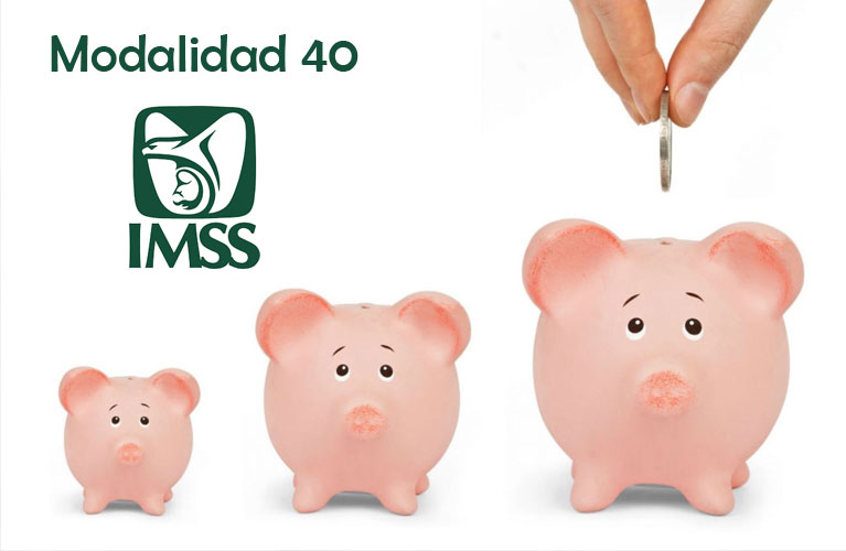 foto-resumen