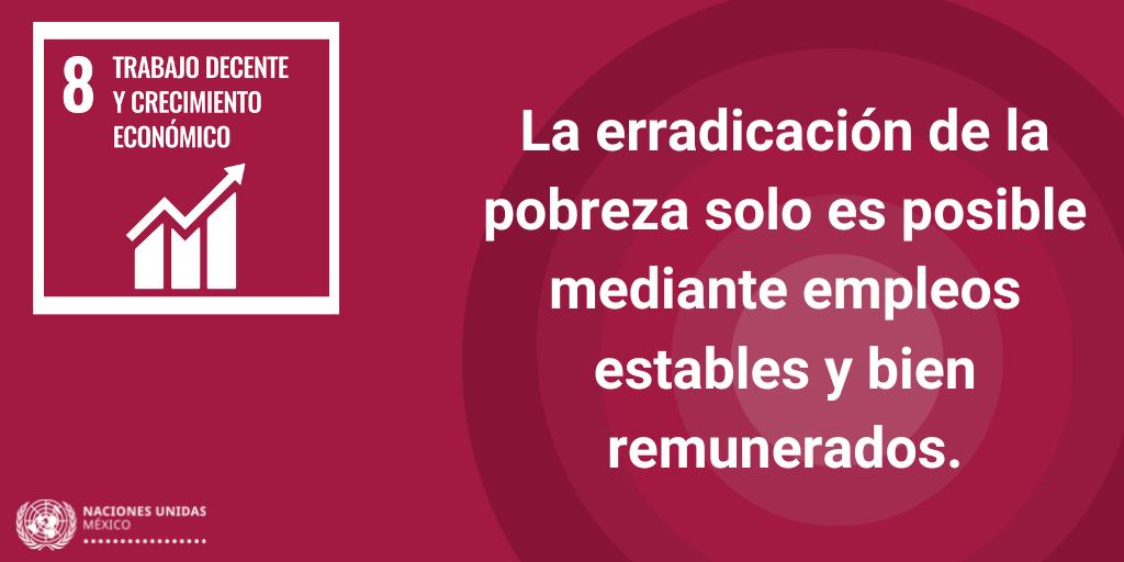 foto-resumen