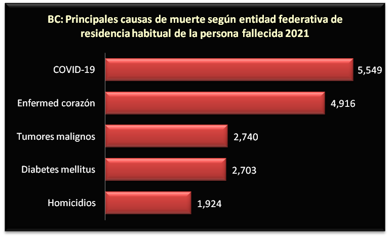 foto-resumen