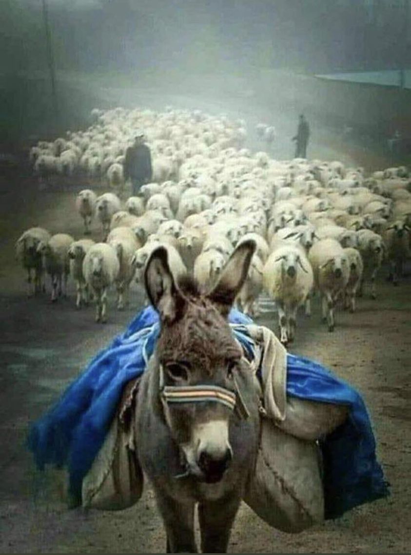 foto-resumen