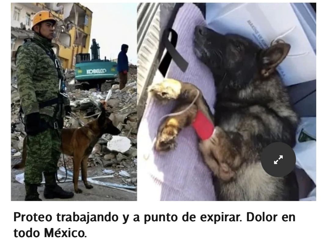 foto-resumen