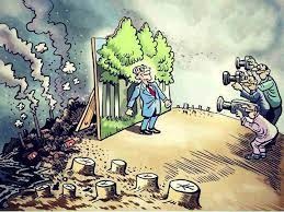 foto-resumen