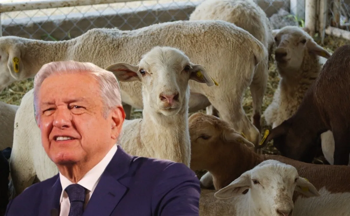 foto-resumen