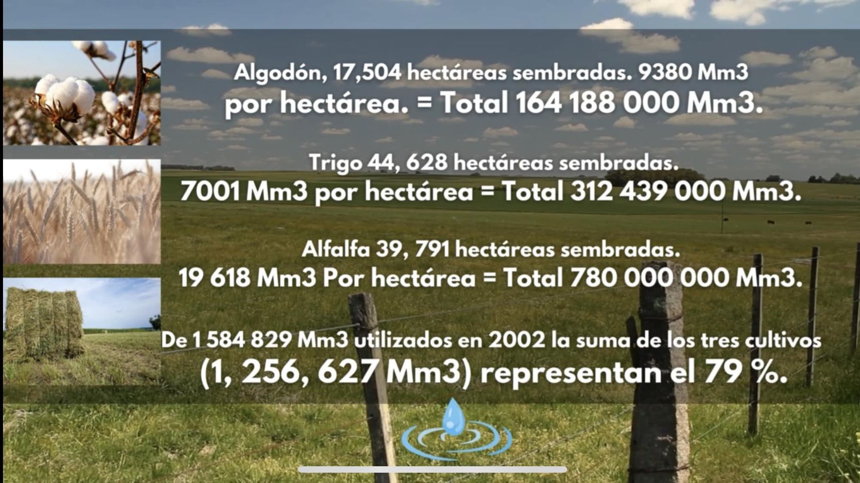 foto-resumen
