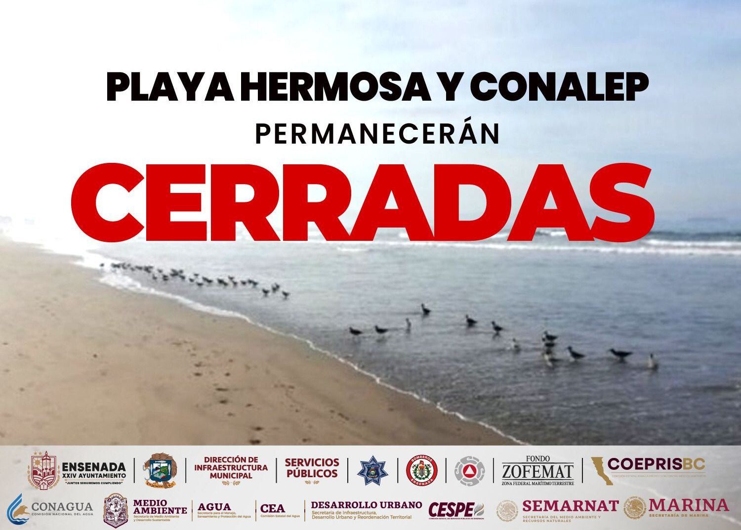 foto-resumen