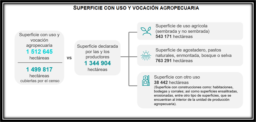 foto-resumen