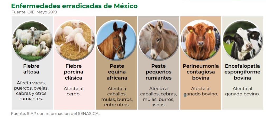 foto-resumen