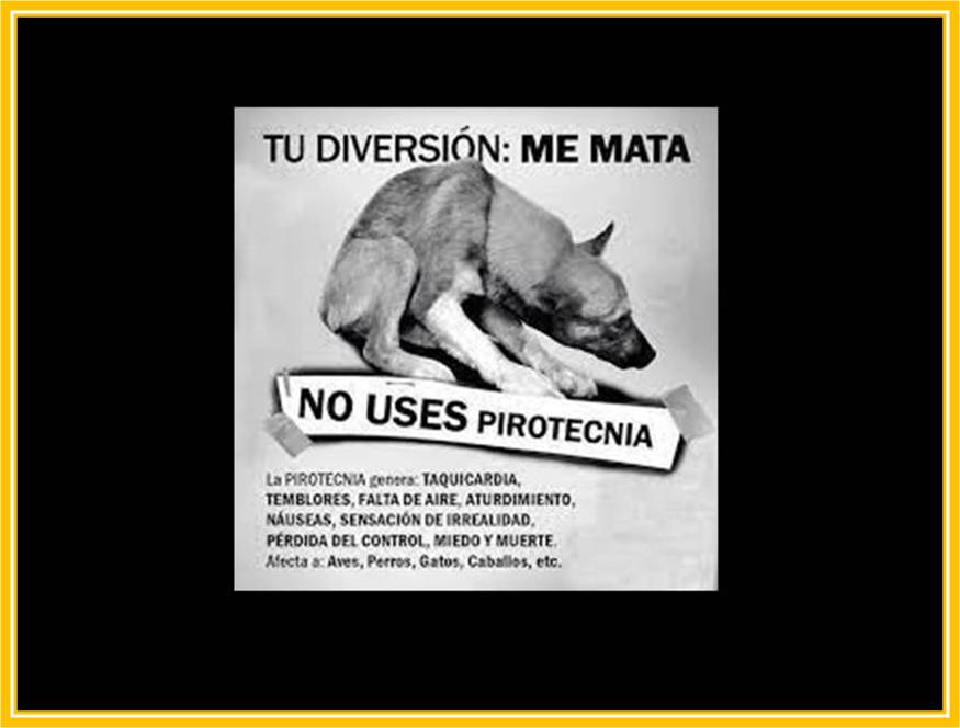 foto-resumen
