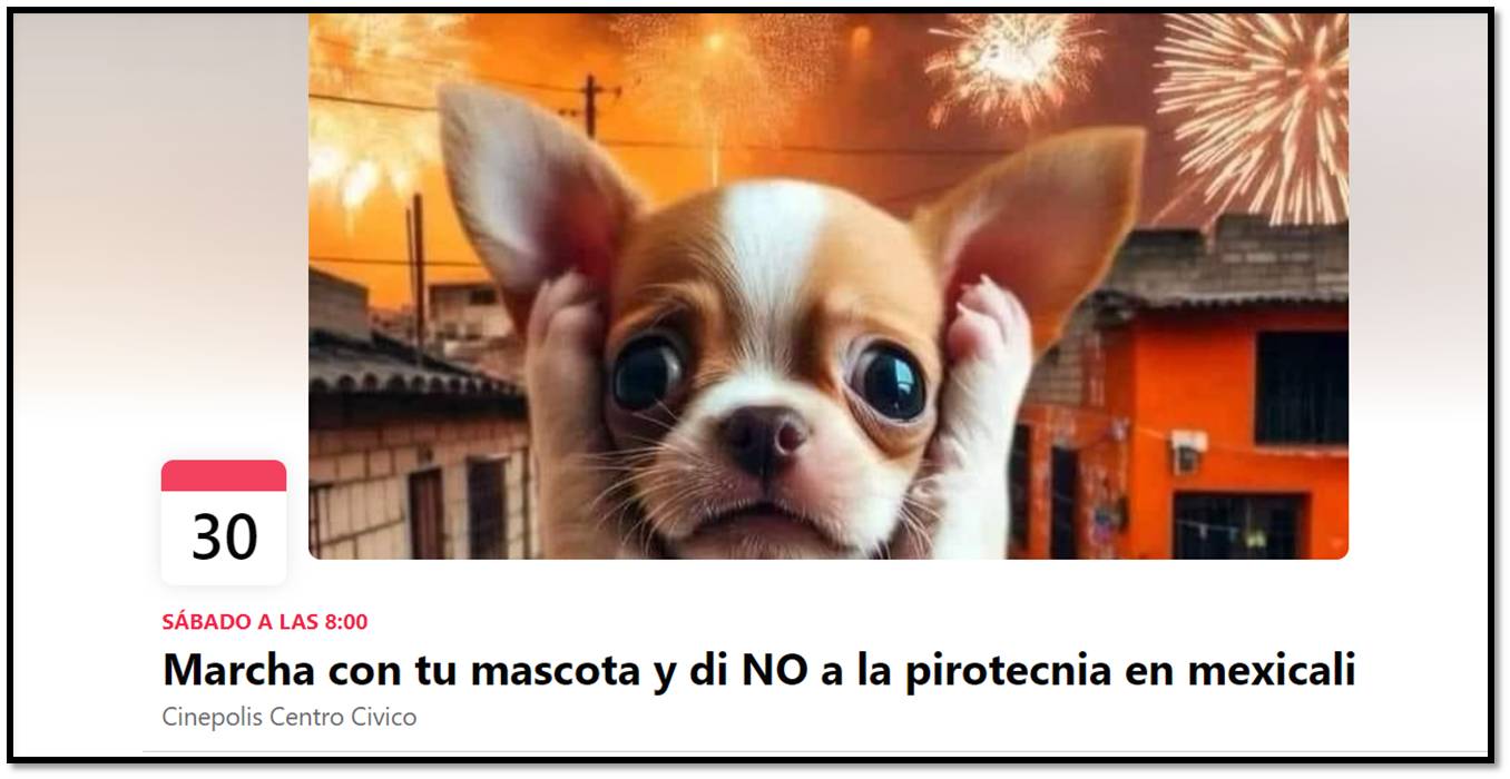 foto-resumen