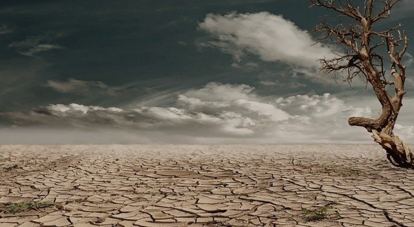 foto-resumen