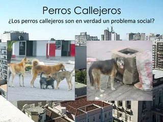 foto-resumen
