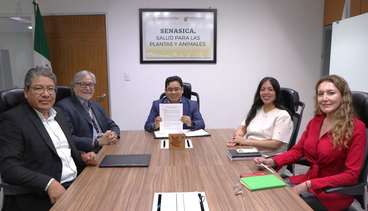 foto-resumen