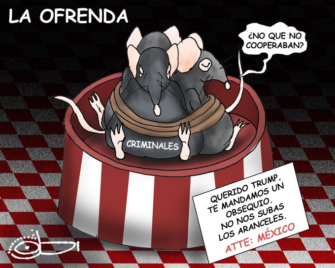 foto-resumen