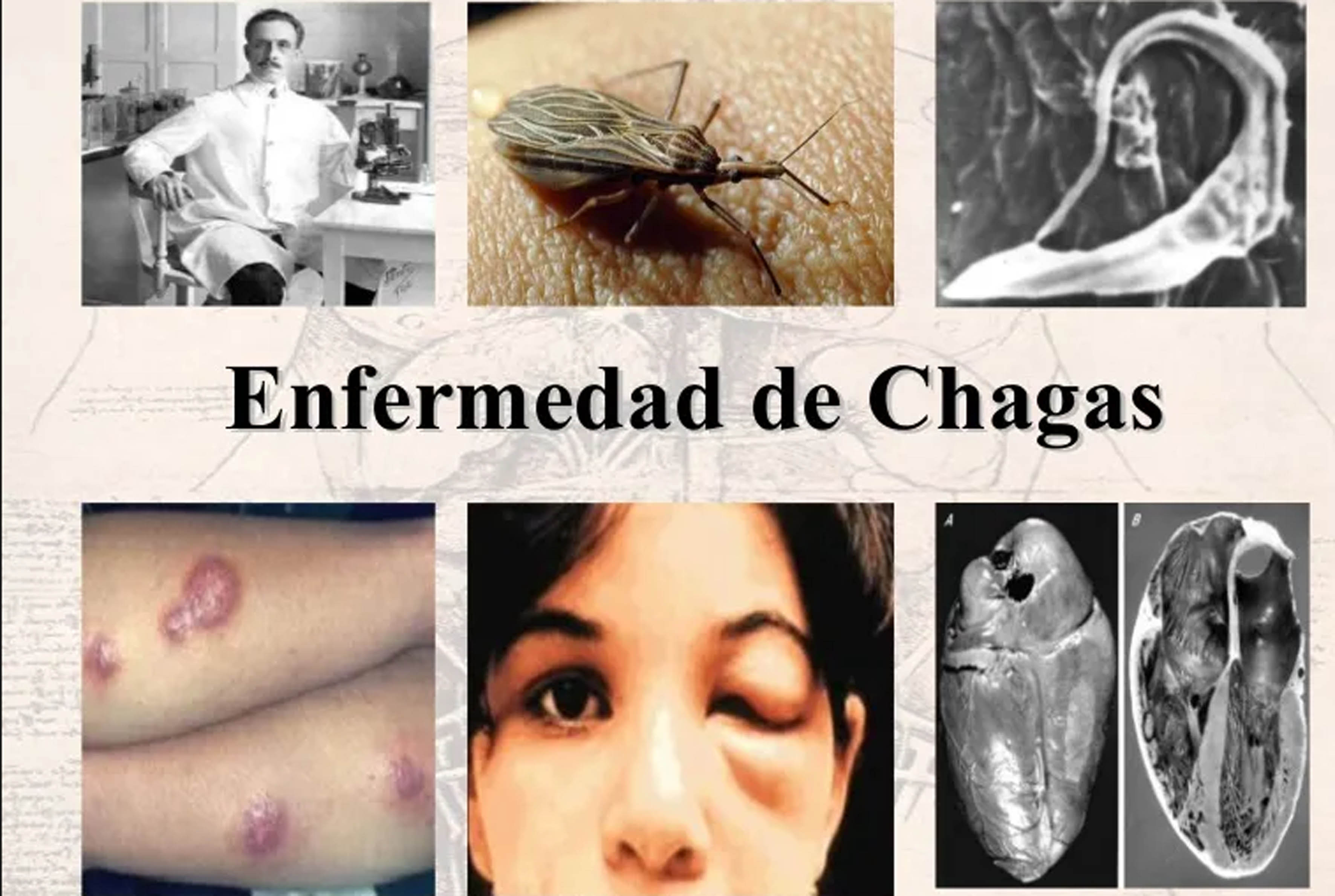 foto-resumen