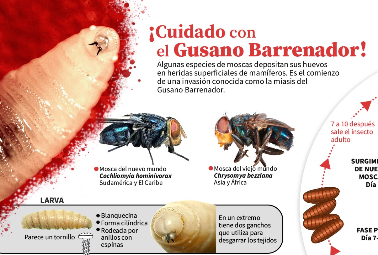 foto-resumen