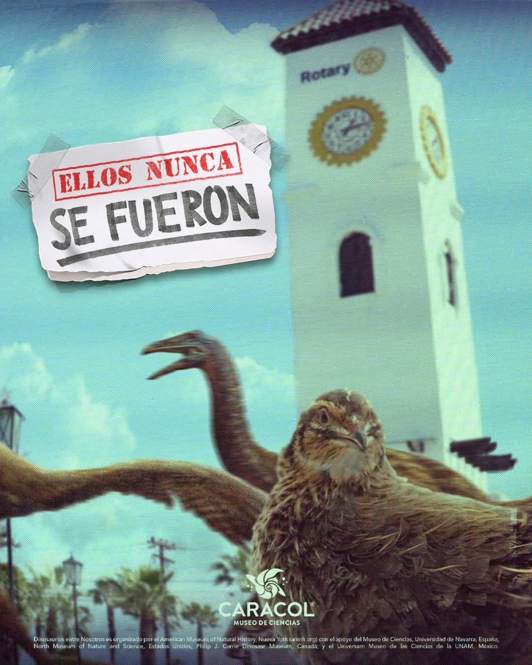 foto-resumen