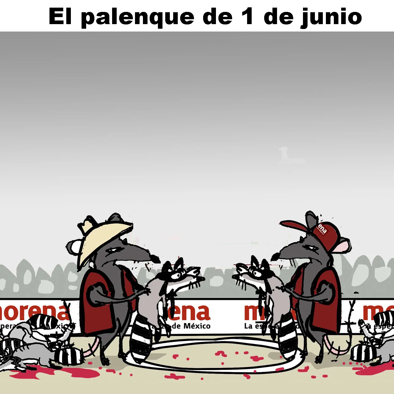 foto-resumen