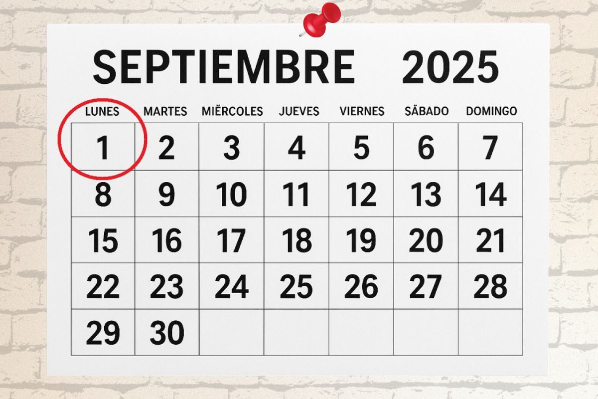 foto-resumen