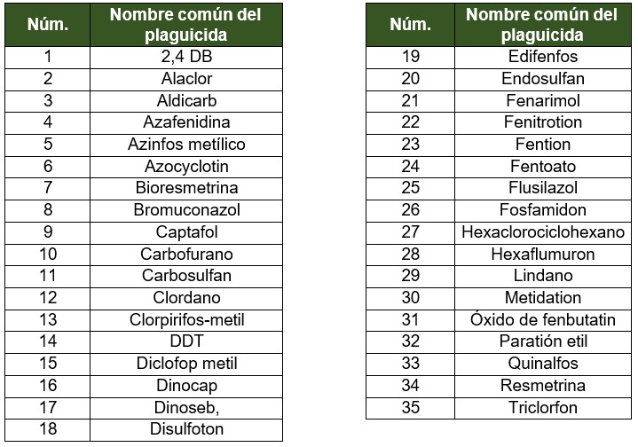 foto-resumen