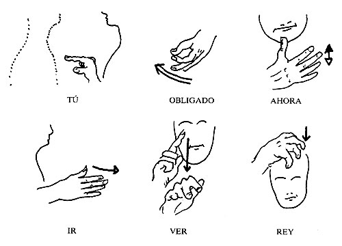 foto-resumen