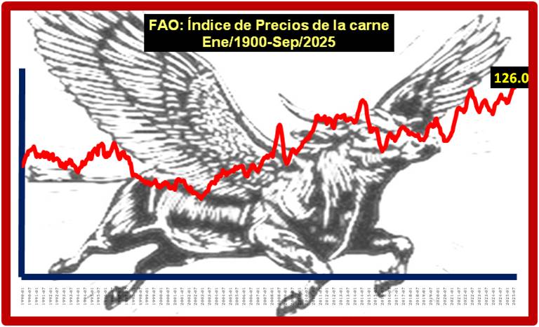 foto-resumen