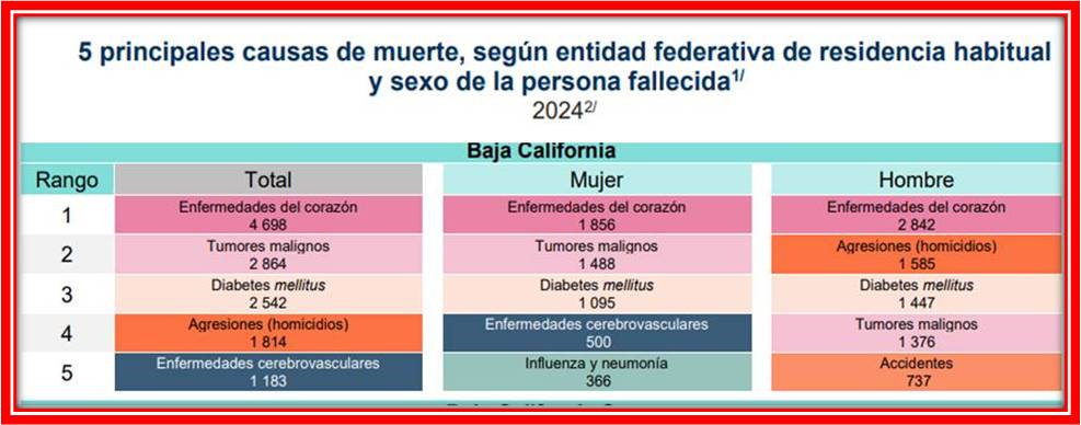 foto-resumen