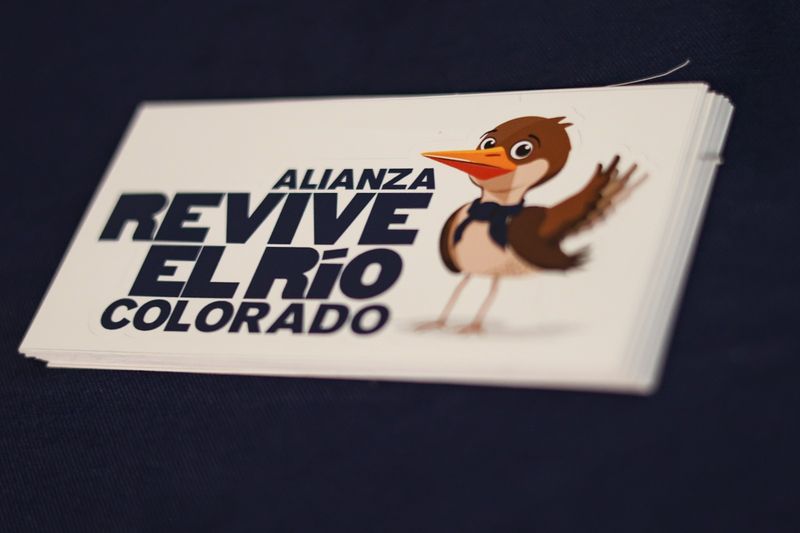 foto-resumen