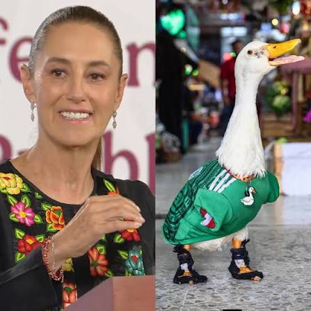 foto-resumen