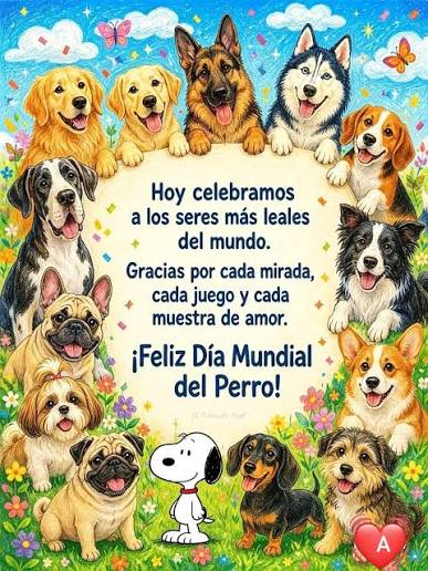 foto-resumen