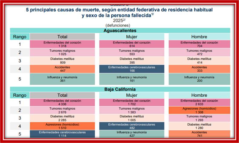 foto-resumen