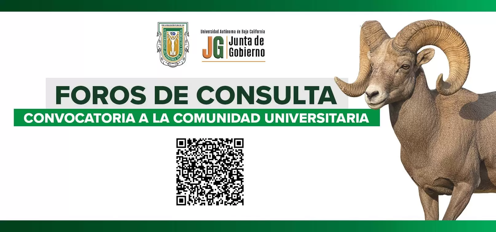 foto-resumen