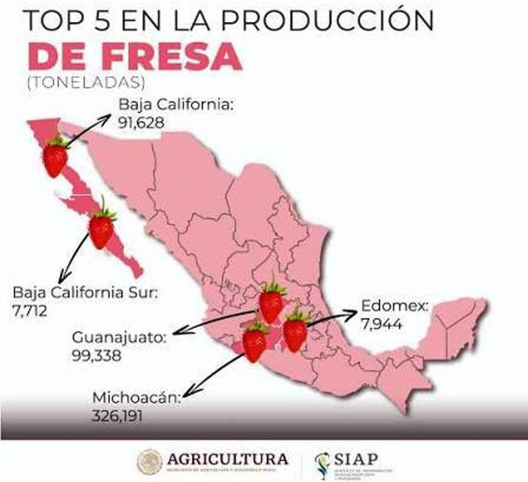 foto-resumen