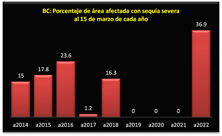 foto-resumen