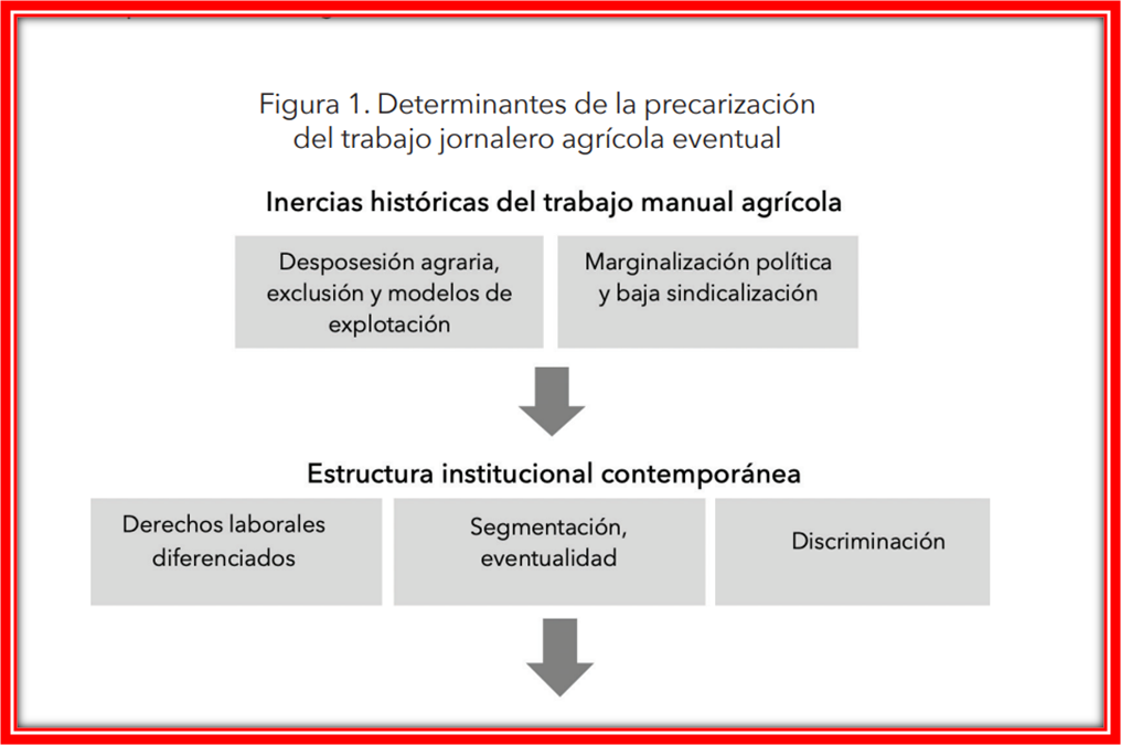 foto-resumen