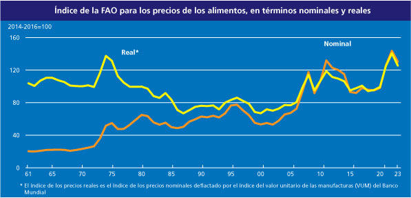 foto-resumen