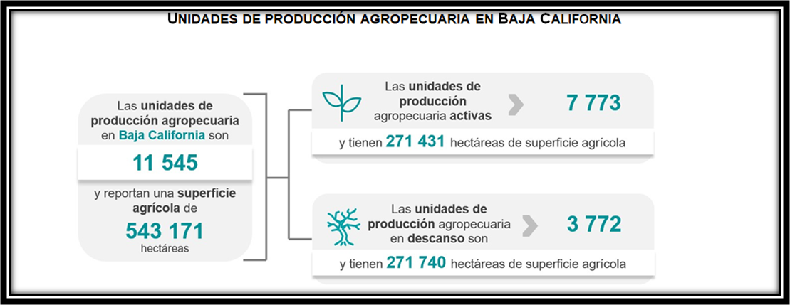 foto-resumen