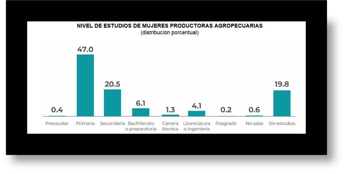 foto-resumen