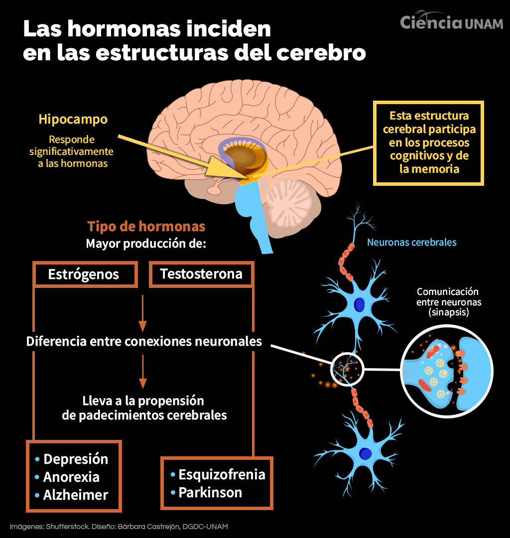 foto-resumen