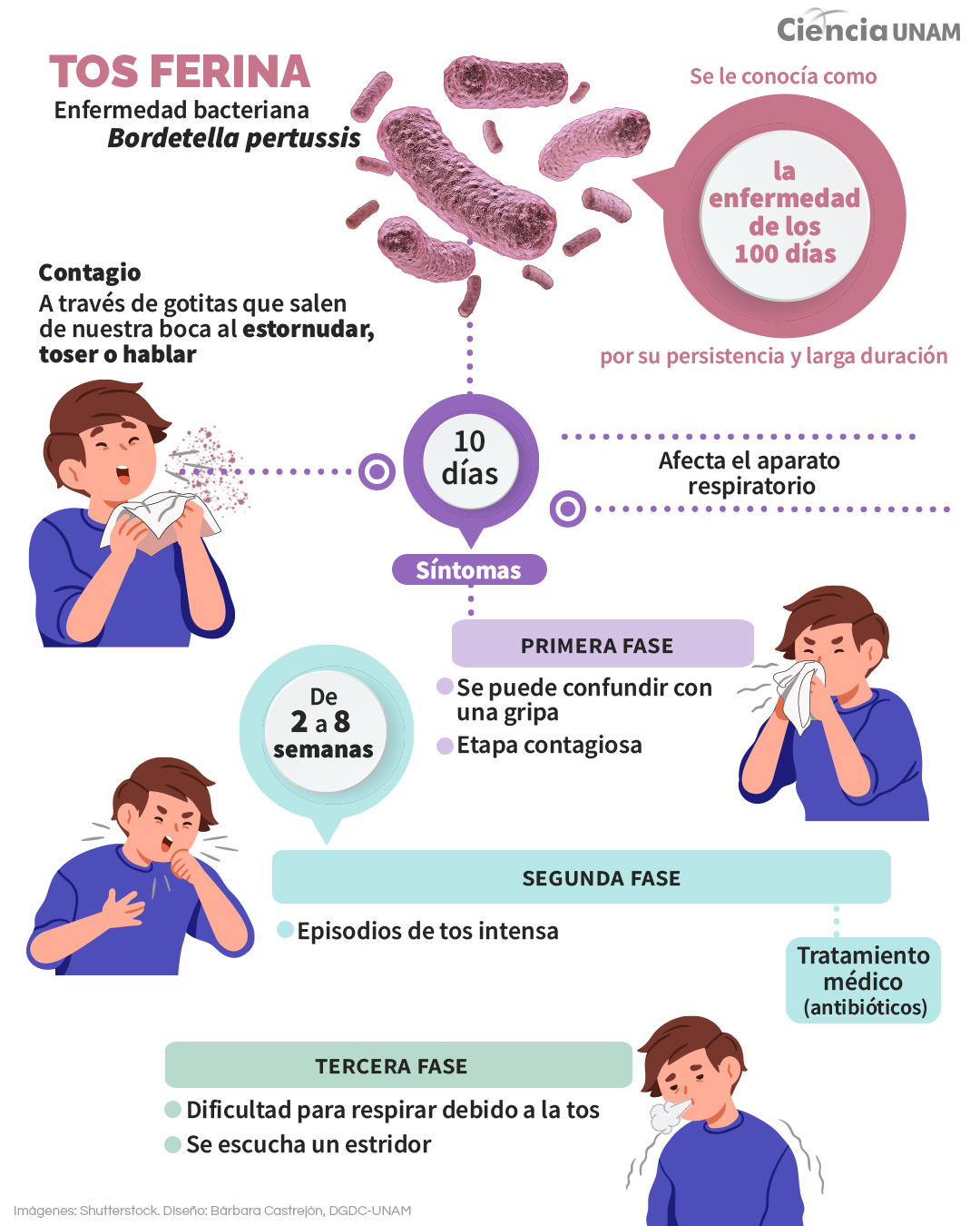 foto-resumen