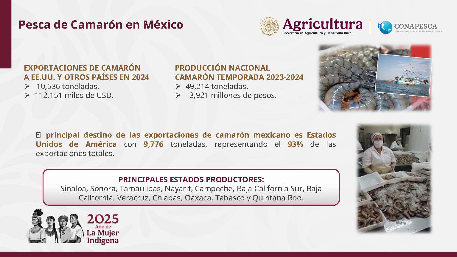 foto-resumen