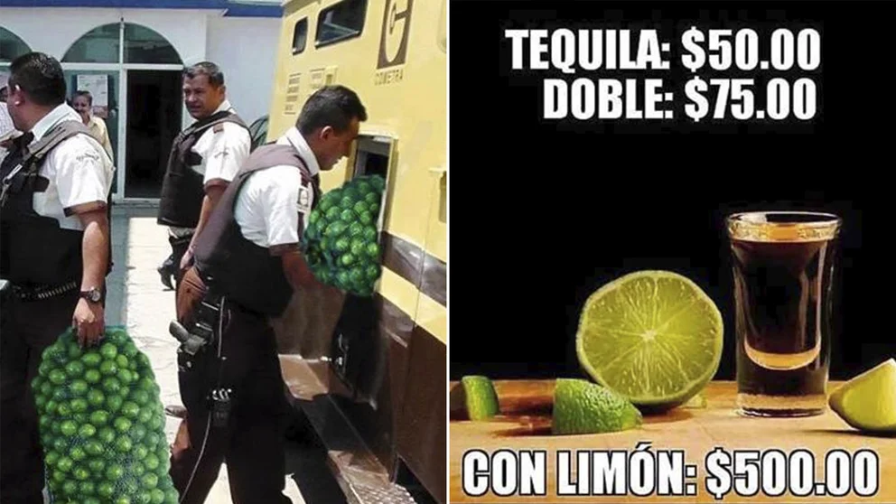 foto-resumen