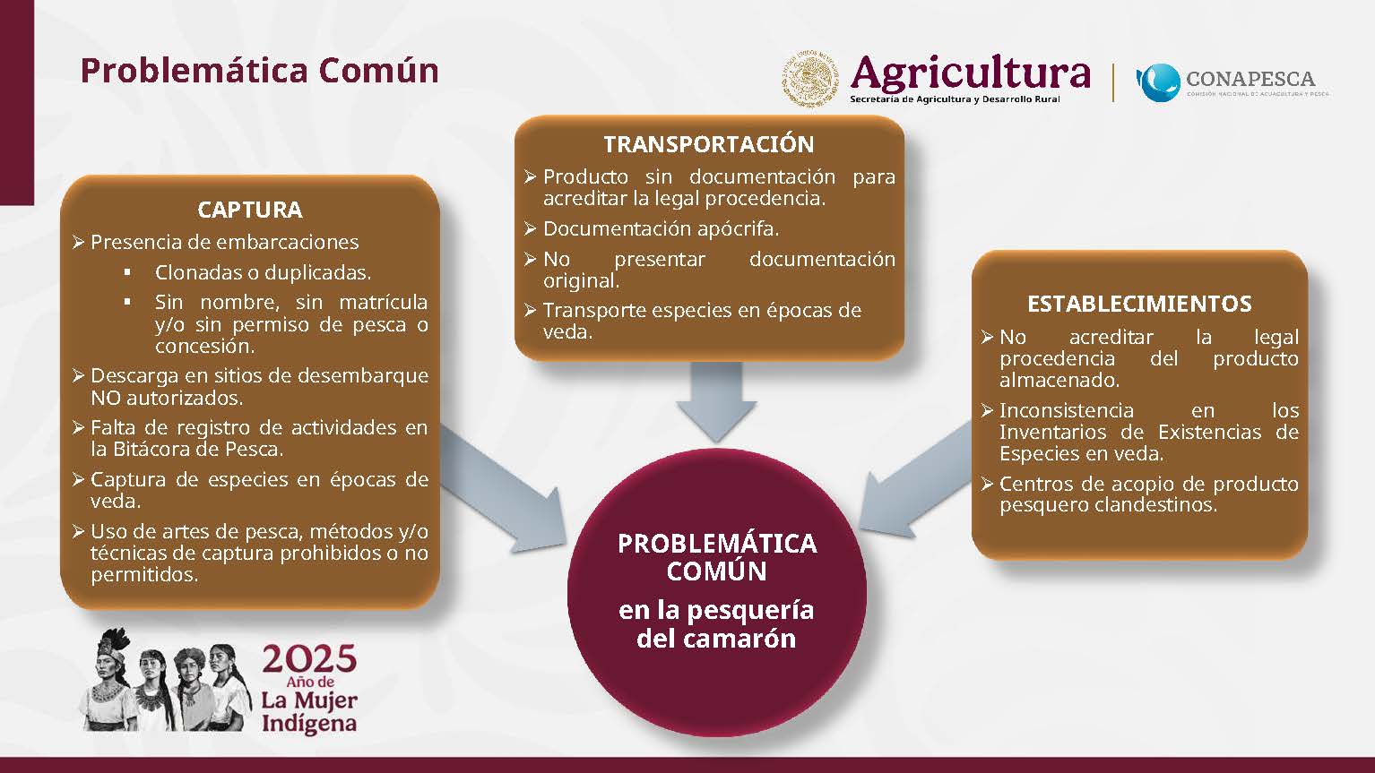 foto-resumen